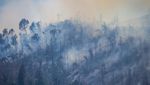 Kebakaran Hutan Hanguskan 1.309 Hektare di California