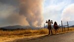 Kebakaran Hutan Hanguskan 1.309 Hektare di California