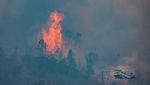 Kebakaran Hutan Hanguskan 1.309 Hektare di California