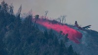 Sebuah pesawat dikerahkan untuk menjatuhkan bahan penahan api guna memadamkan Kebakaran Pickett yang melanda Napa County, California, Amerika Serikat, Jumat (22/8/2025). Foto: REUTERS/Carlos Barria