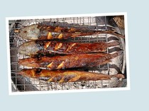 Bolehkah Konsumsi Lele yang Makan Kotoran Manusia?