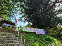 Dulu Arena Adu Babi Vs Anjing, Kini Jadi Wisata Edukatif Lebah Trigona