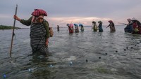 Menggunakan peralatan sederhana, seperti tombak dan wadah tradisional, para perempuan Wakatobi menombak ikan yang terlihat di sela-sela karang. Tradisi ini dilakukan secara berkelompok, menciptakan suasana kebersamaan dan menjadi daya tarik tersendiri bagi wisatawan yang berkunjung ke daerah tersebut. ANTARA FOTO/Andry Denisah