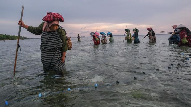 Warga menombak ikan saat atraksi Hekente di Desa Sombu, Wakatobi, Sulawesi Tenggara, Sabtu (23/8/2025).  Hekente merupakan aktivitas mencari ikan secara tradisional yang dilakukan kaum perempuan Wakatobi saat air surut menggunakan alat tradisional guna membantu ekonomi keluarga sekaligus sebagai simbol kemandirian perempuan di wilayah itu. ANTARA FOTO/Andry Denisah