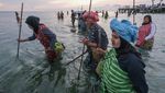 Perempuan Wakatobi Lestarikan Tradisi Hekente, Menombak Ikan dengan Alat Tradisional