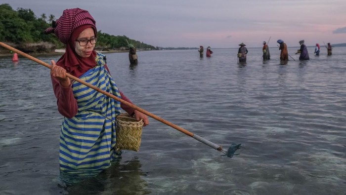 Perempuan Wakatobi Lestarikan Tradisi Hekente, Menombak Ikan dengan Alat Tradisional Warga menombak ikan saat atraksi Hekente di Desa Sombu, Wakatobi, Sulawesi Tenggara, Sabtu (23/8/2025). Hekente merupakan aktivitas mencari ikan secara tradisional yang dilakukan kaum perempuan Wakatobi saat air surut menggunakan alat tradisional guna membantu ekonomi keluarga sekaligus sebagai simbol kemandirian perempuan di wilayah itu. ANTARA FOTO/Andry Denisah