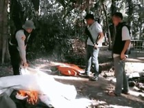 Polisi Gerebek Judi Sabung Ayam di OKI, 4 Motor Disita