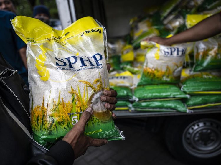 Realisasi Distribusi Beras SPHP Mencapai 239,5 Ribu Ton