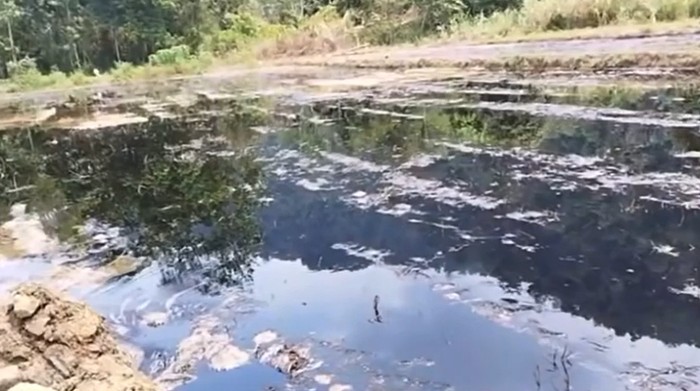 Sawah warga di Luwu Timur berubah menjadi hitam gegara pipa minyak PT Vale Indonesia mengalami kebocoran.