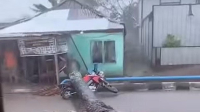 Sepeda motor tertimpa pohon tumbang saat hujan angin di Palembang, Sumsel.