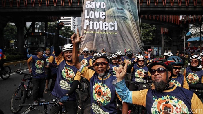 Aktivis dan Komunitas Sepeda Ajak Publik Selamatkan Orangutan Suasana Car Free Day (CFD) di kawasan Jalan Sudirman, Jakarta, Minggu (24/8/2025) pagi terasa berbeda dari biasanya. Ribuan pesepeda dan masyarakat yang berolahraga disuguhi pemandangan unik berupa spanduk raksasa bergambar orangutan yang dibentangkan di Jembatan Penyeberangan Orang (JPO) Phinisi arah Bundaran HI.