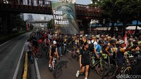 Hari Orangutan Sedunia yang diperingati setiap 19 Agustus menjadi momen penting untuk mengingat kembali peran orangutan dalam menjaga keseimbangan ekosistem.
