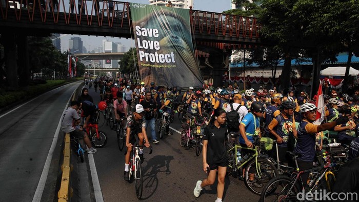 Aktivis dan Komunitas Sepeda Ajak Publik Selamatkan Orangutan Suasana Car Free Day (CFD) di kawasan Jalan Sudirman, Jakarta, Minggu (24/8/2025) pagi terasa berbeda dari biasanya. Ribuan pesepeda dan masyarakat yang berolahraga disuguhi pemandangan unik berupa spanduk raksasa bergambar orangutan yang dibentangkan di Jembatan Penyeberangan Orang (JPO) Phinisi arah Bundaran HI.