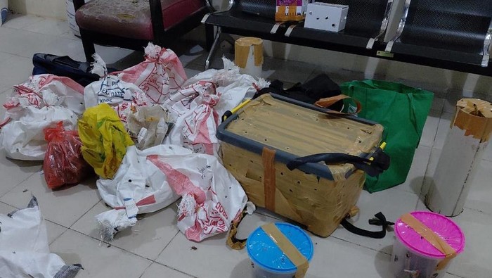 BBKSDA Papua Barat Daya menggagalkan penyelundupan 24 satwa endemik, termasuk burung cendrawasih dan kasuari, di Pelabuhan Sorong.