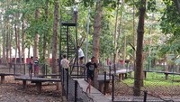 Hutan kota ini punya area flooring kayu yang cocok buat jalan santai atau foto-foto bareng keluarga. Wajib hati-hati karena beberapa bagian lempeng kayu hilang, yang berisiko menyebabkan pengunjung kejeblos (dok. Rosmha Widiyani/detikcom)