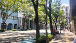 Potret Seru Fukuoka: Futuristik, Rapi, Mudahkan Pejalan Kaki