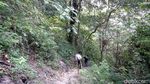 Keindahan Air Terjun Cakung di Gunung Welirang Mojokerto