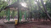Hutan kota ini dulunya adalah bumi perkemahan dan punya beberapa gazebo yang sangat ikonik namun tidak terawat. Cat mengelupas, plafon hilang, dan genteng terlihat berlubang serta banyak daun berguguran (dok. Rosmha Widiyani/detikcom)
