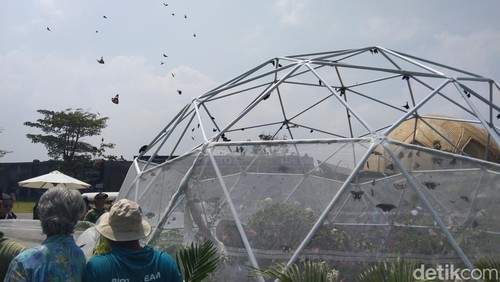 Pelepasliaran kupu-kupu lokal di Taman Popper kawasan Nuanu Creative City, Desa Beraban, Kecamatan Kediri, Tabanan, Minggu (24/8/2025).