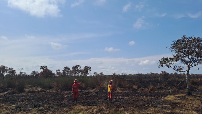 Personel Manggala Agni mengecek lokasi karhutla yang sudah padam di Pangkalan Lampam, OKI