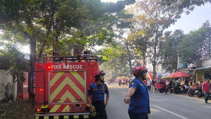 Petugas pemadam kebakaran melakukan evakuasi burung hantu