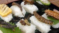 Siapa mau? Paduan sushi dengan topping serangga-serangga eksotis yang bikin bergidik ngeri! Foto: Bored Panda