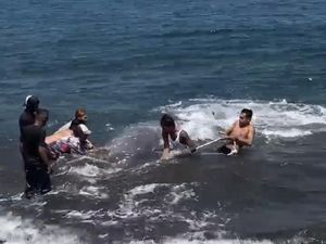 Aksi Heroik Warga Gilimanuk Selamatkan Ikan Besar yang Terdampar di Pantai