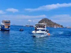 Turis Belanda Tewas saat Diving di TN Komodo