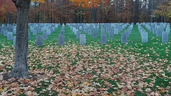 Seolah dua gambar yang disatukan, padahal satu foto asli. Foto: Reddit