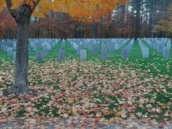 Awas Terkecoh! Deretan Foto Viral Ini Jangan Dilihat Sekilas