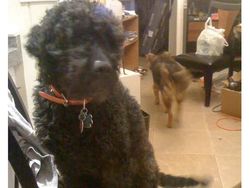 Kalau Bukan Hantu, Apa yang Ada di Dalam Foto Berikut?