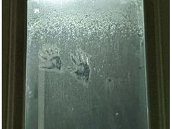 Kalau Bukan Hantu, Apa yang Ada di Dalam Foto Berikut?