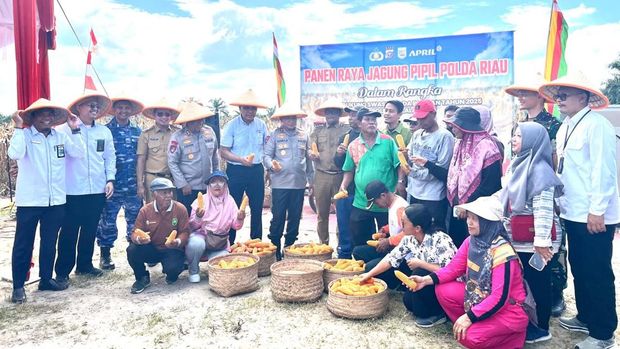 Kapolda Riau Irjen Herry Heryawan menghadiri panen 15 ton jagung di Pelalawan, Senin (25/8/2025).