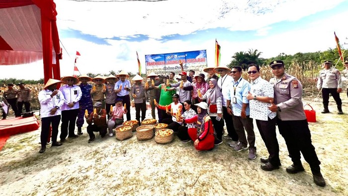 Kapolda Riau Irjen Herry Heryawan menghadiri panen 15 ton jagung di Pelalawan, Senin (25/8/2025).