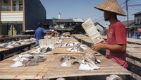Perikanan tangkap laut menyumbang sebagian besar produksi perikanan tangkap, dengan beberapa komoditas utama seperti tongkol, layang, cakalang, tuna, dan kembung.
