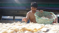 Beberapa komoditas utama dalam perikanan budidaya antara lain rumput laut, nila, lele, udang, bandeng, mas, dan patin.