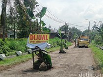 Jalan ke Wisata Baturraden Rusak Parah, Warga Tanami Pakai Pohon Pisang