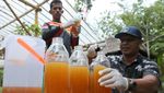 Madu Lebah Liar Aceh Jadi Primadona, Produksi Capai 10 Ton per Tahun