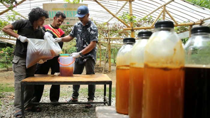 Madu Lebah Liar Aceh Jadi Primadona, Produksi Capai 10 Ton per Tahun Penampung menyiapkan madu lebah hutan hasil panen untuk dimasukkan ke dalam botol di Aceh Besar, Aceh, Senin (25/8/2025). Menurut para penampung, produksi madu lebah liar dari hutan Kabupaten Aceh Besar diperkirakan mencapai 10 ton per tahun yang dipasarkan ke seluruh Indonesia, Malaysia dan Singapura. ANTARA FOTO/Irwansyah Putra