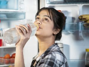 Minum Air Dingin Bikin Sakit? Jangan Percaya Mitos Dulu!