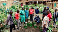 Lebih dari sekadar bercocok tanam, lahan yang ia kembangkan menjadi ruang pelatihan bagi masyarakat. Warga diajarkan cara menanam, merawat tanaman, hingga mengelola hasil panen agar memiliki nilai ekonomi. Dengan begitu, pertanian perkotaan ini berfungsi sebagai model pemberdayaan yang mampu meningkatkan ketahanan pangan sekaligus kualitas hidup penduduk kumuh. REUTERS/Abubaker Lubowa