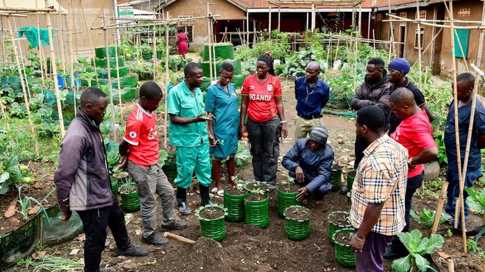 Pemuda Uganda Sulap Daerah Kumuh Jadi Oase Pertanian Perkotaan Dari lorong-lorong sempit di daerah kumuh Kamwokya, kini tumbuh deretan hijau sayuran segar berkat tangan kreatif Eddie Galiwango. Pemuda Uganda itu berhasil menyulap kawasan padat dan minim ruang menjadi oase pertanian perkotaan yang berkelanjutan. REUTERS/Abubaker Lubowa
