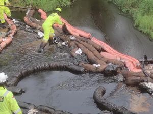 Kebocoran Pipa Minyak PT Vale di Lutim Berdampak ke 38 Hektare Sawah Warga