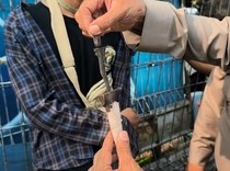 Video: Polisi Amankan Puluhan Pelajar Hendak Demo di DPR, 1 Orang Bawa Keris