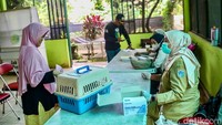 Program imunisasi gratis dilakukan untuk menekan risiko penyebaran rabies di Jakarta Selatan.
