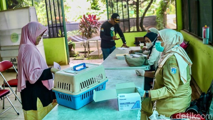 Sudin KPKP Jaksel gencar lakukan vaksinasi rabies gratis. Tahun ini ditargetkan 10.015 hewan penular rabies mendapat vaksin.