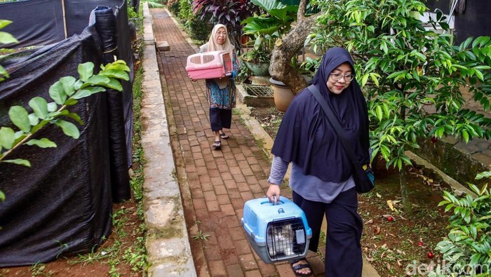 Sudin KPKP Jaksel gencar lakukan vaksinasi rabies gratis. Tahun ini ditargetkan 10.015 hewan penular rabies mendapat vaksin.