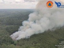 Karhutla di PALI-Muba Dipadamkan Optimal, Kondisinya Masih Berasap