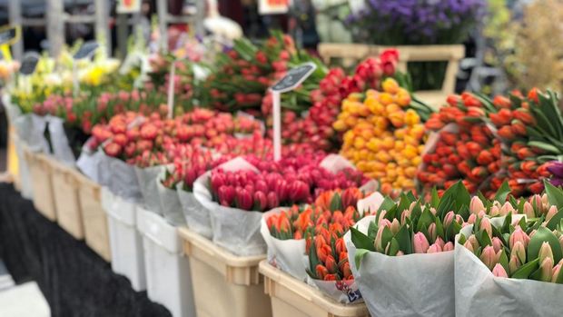 Toko bunga atau florist, buket bunga, karangan bunga