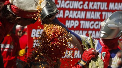 Peternak Ayam Solo Raya Gelar Aksi Mandi Jagung Protes Harga Pakan Mahal